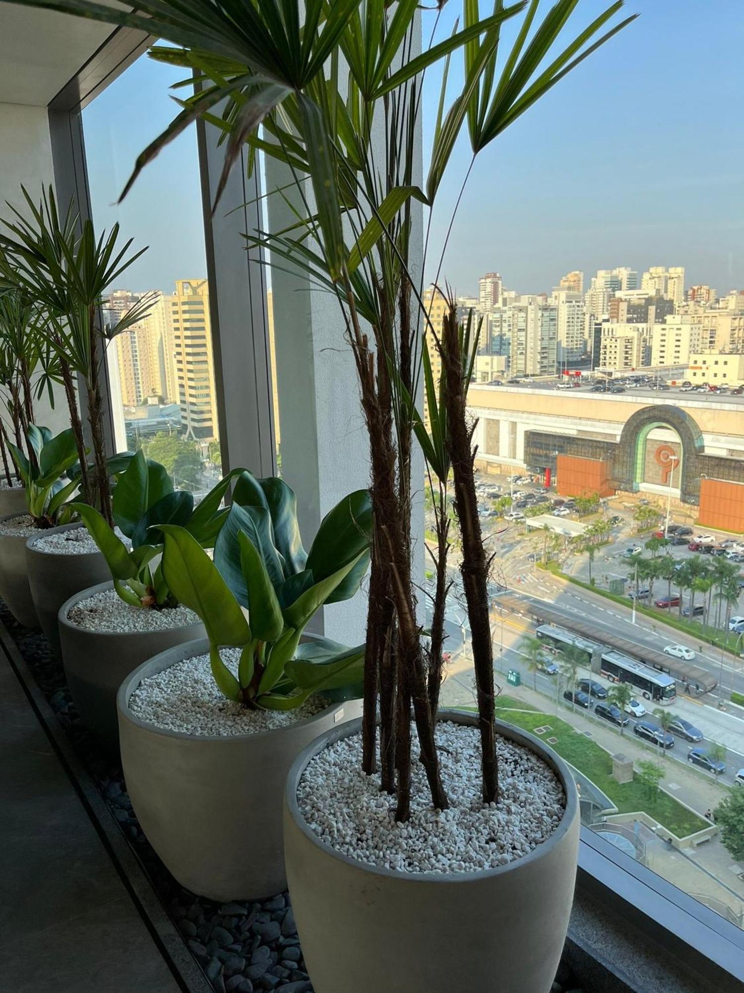 Sofisticado Apto Moema Piscina Com Vista 360° Apartamento São Paulo